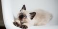 8weeks_0034